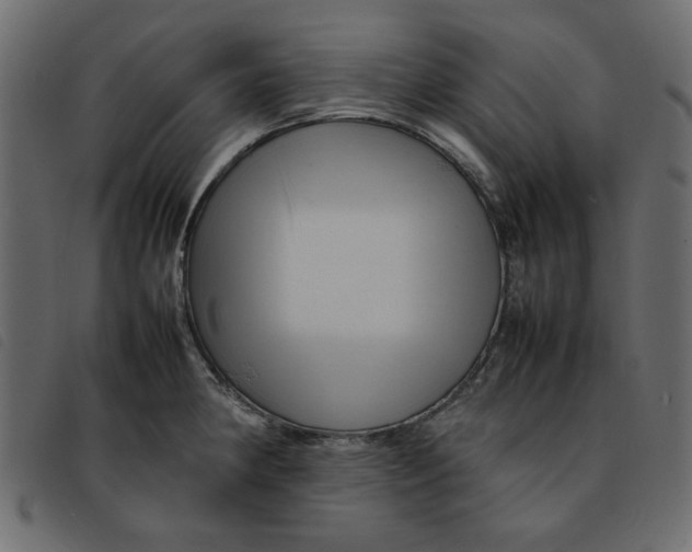 X0000092211190200710121122