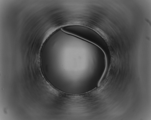 X0000092211192200710121122