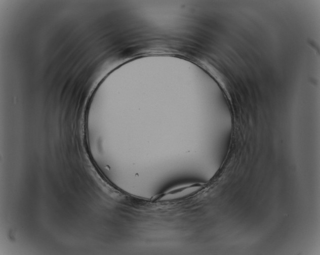 X0000092211195200710121122