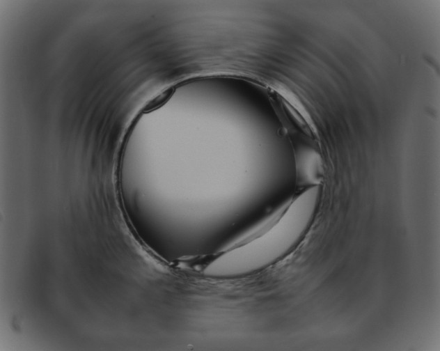 X0000092211197200710121122