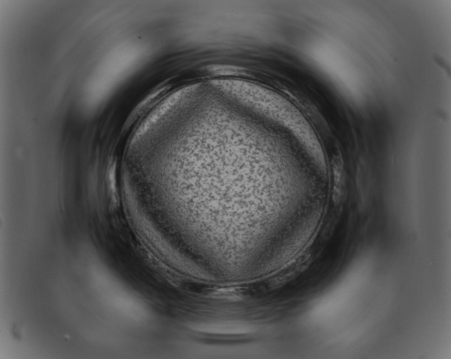 X0000092211198200710121122