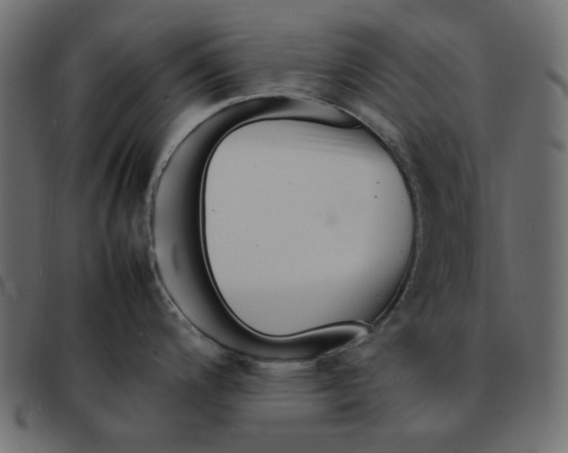 X0000092211200200710121122