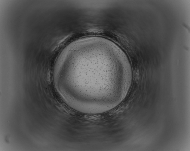 X0000092211205200710121122