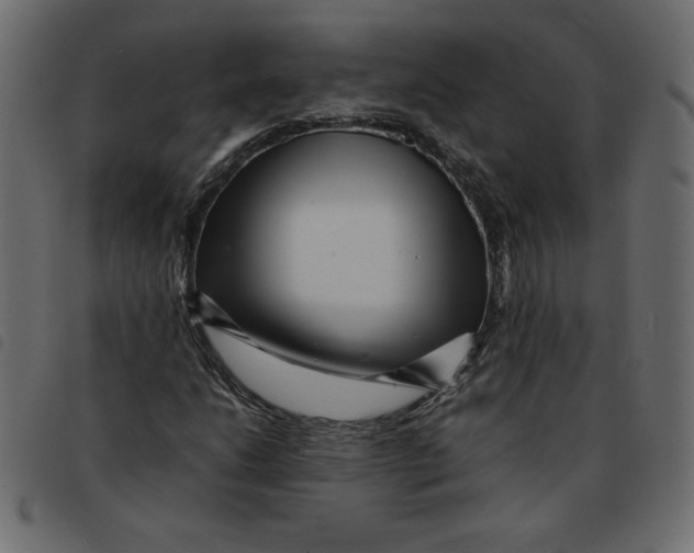 X0000092211206200710121122