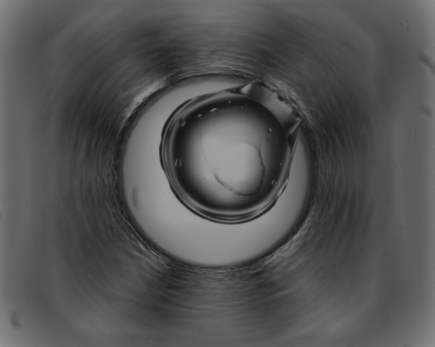 X0000092211210200710121122