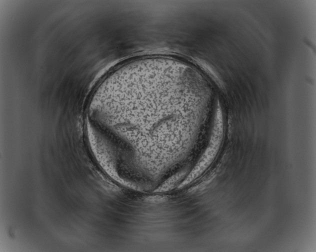 X0000092211212200710121122