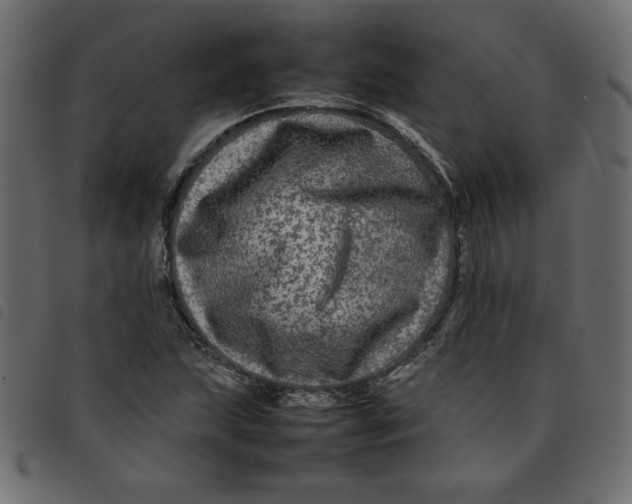 X0000092211215200710121122