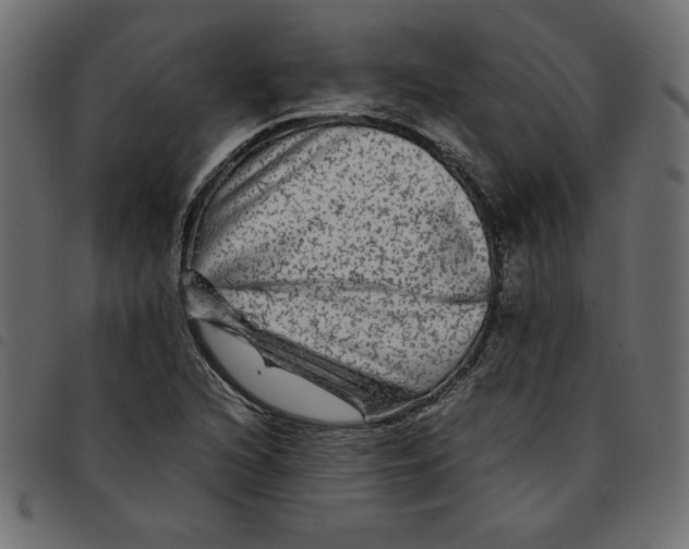 X0000092211216200710121122