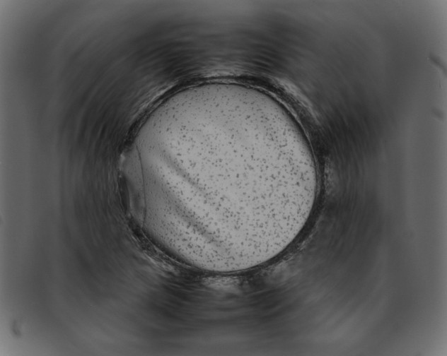X0000092211217200710121122