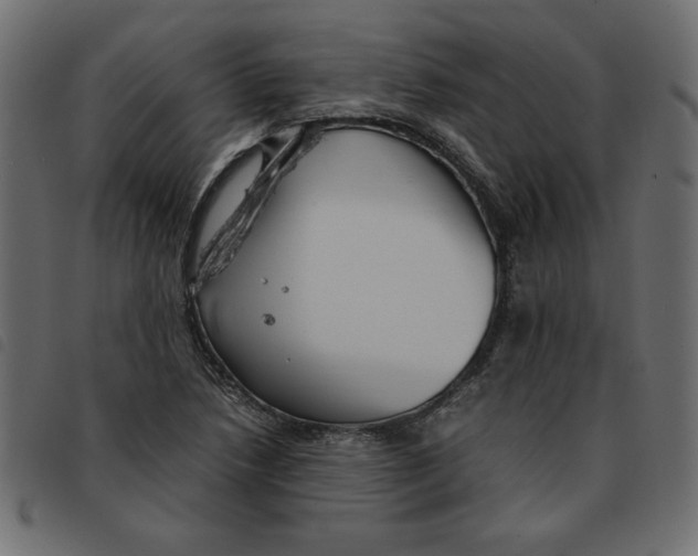 X0000092211218200710121122