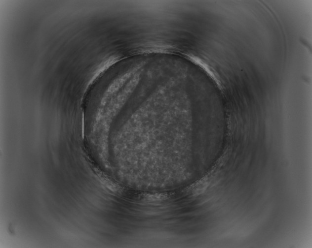 X0000092211219200710121122