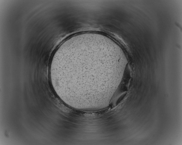 X0000092211220200710121122