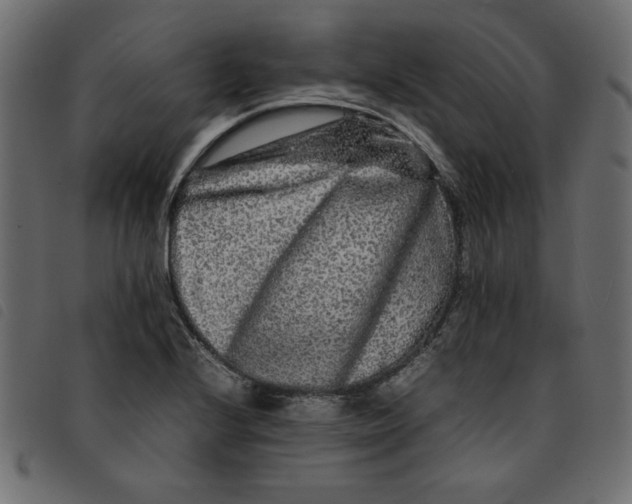 X0000092211224200710121122