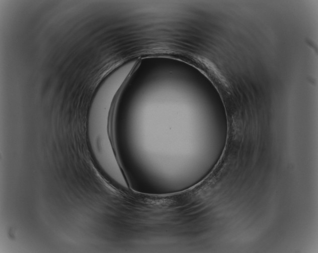 X0000092211225200710121122