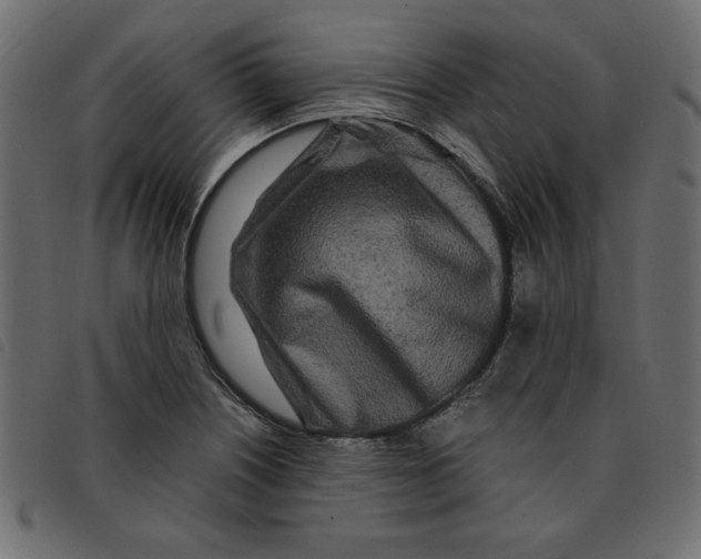 X0000092211226200710121122