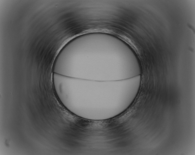 X0000092211228200710121122