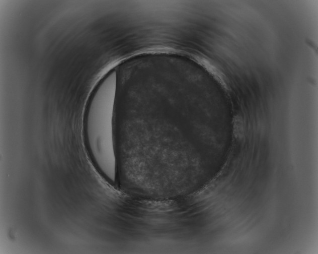 X0000092211229200710121122