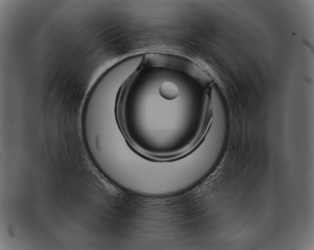 X0000092211230200710121122