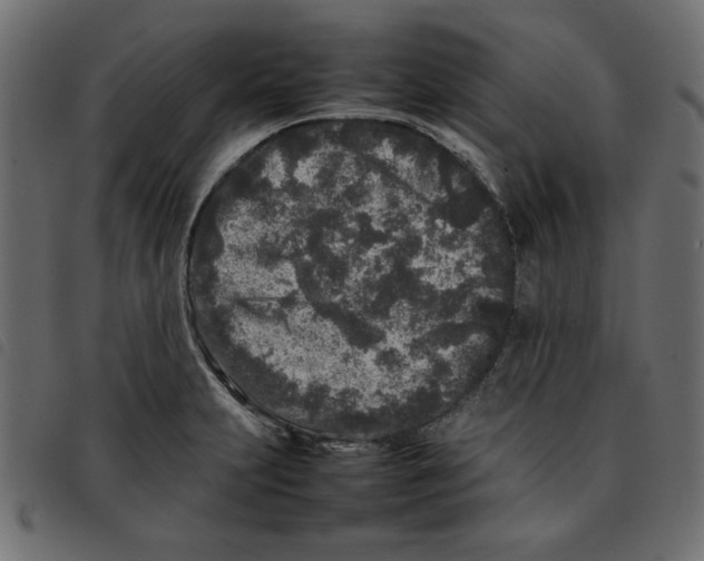 X0000092211231200710121122