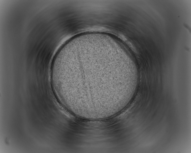 X0000092211232200710121122