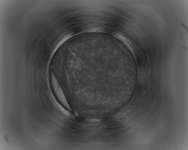X0000092211235200710121122