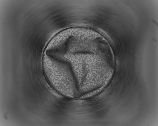 X0000092211236200710121122
