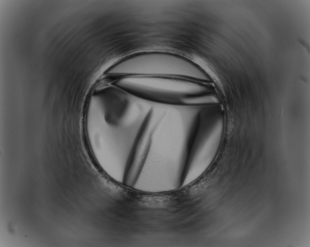 X0000092211237200710121122