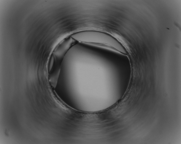 X0000092211238200710121122