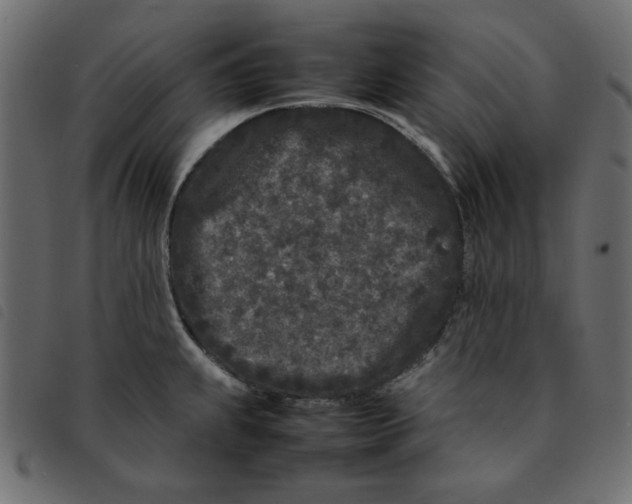 X0000092211239200710121122