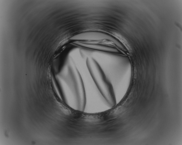 X0000092211241200710121122