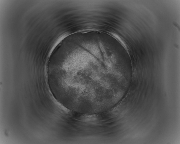 X0000092211243200710121122