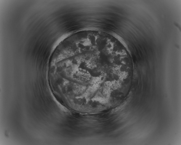X0000092211245200710121122