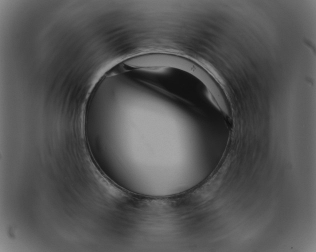 X0000092211246200710121122