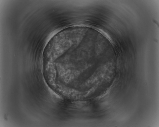 X0000092211247200710121122