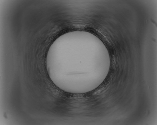 X0000092211249200710121122