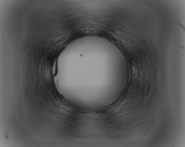 X0000092211250200710121122