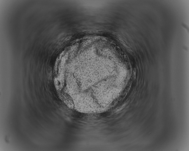 X0000092211251200710121121