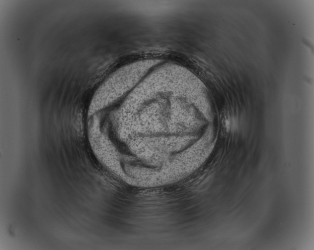 X0000092211252200710121121