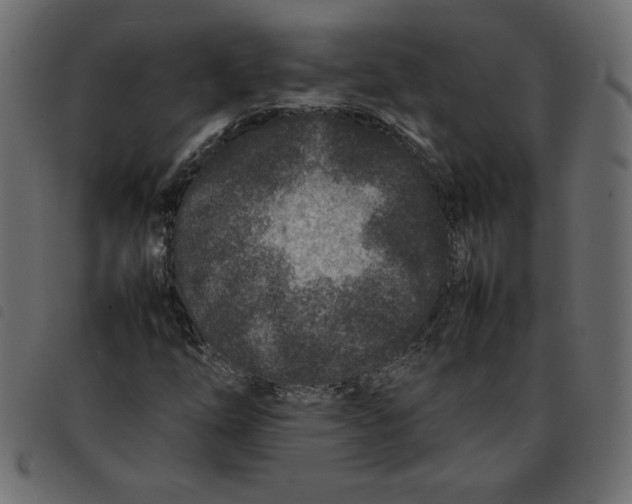 X0000092211254200710121121