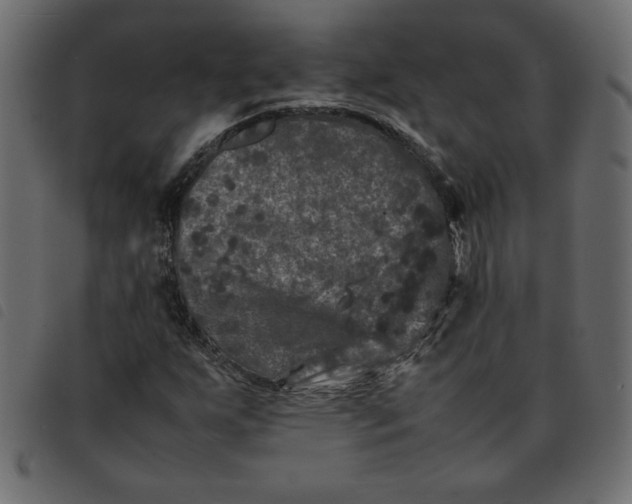 X0000092211255200710121121