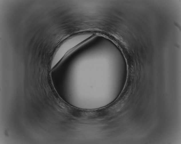 X0000092211257200710121121
