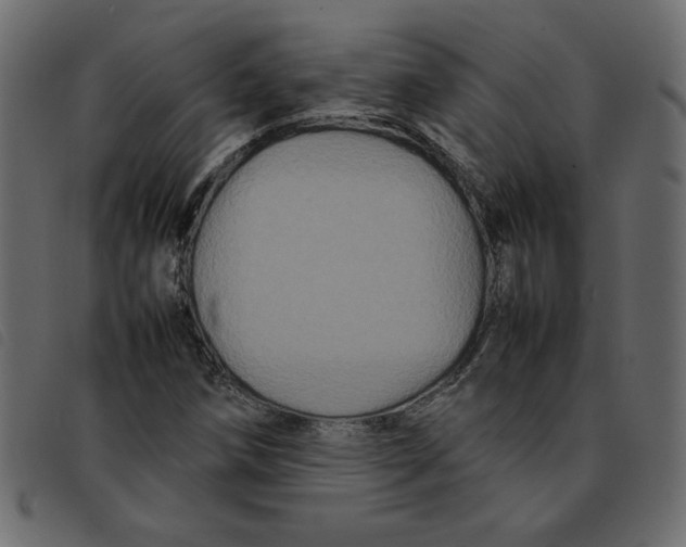 X0000092211258200710121121