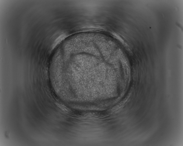 X0000092211259200710121121