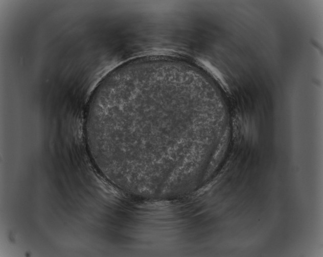 X0000092211260200710121121