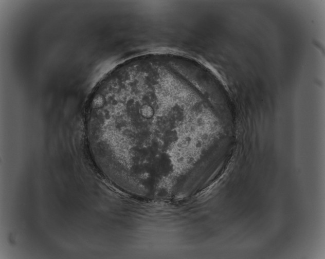 X0000092211263200710121121