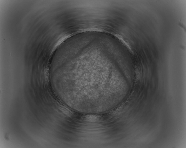 X0000092211266200710121121