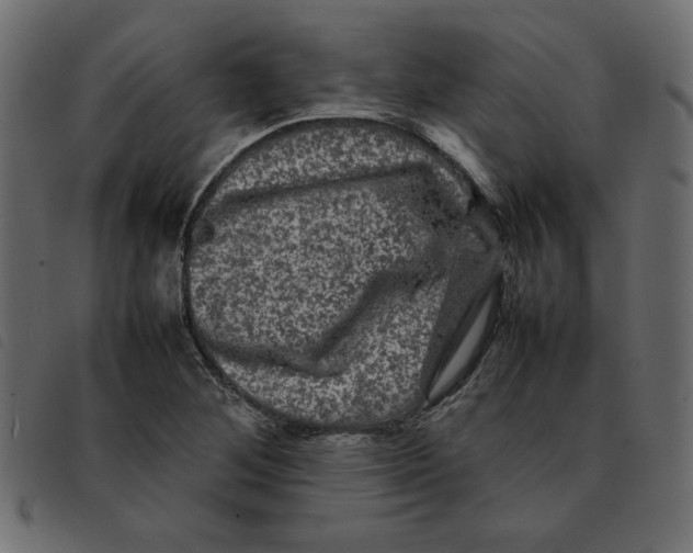 X0000092211268200710121121