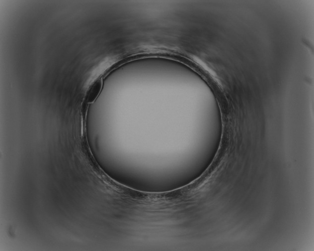 X0000092211269200710121121