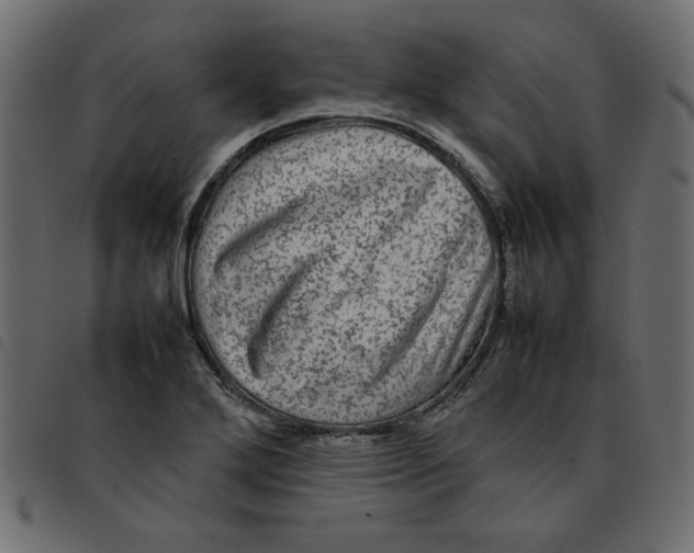 X0000092211272200710121121