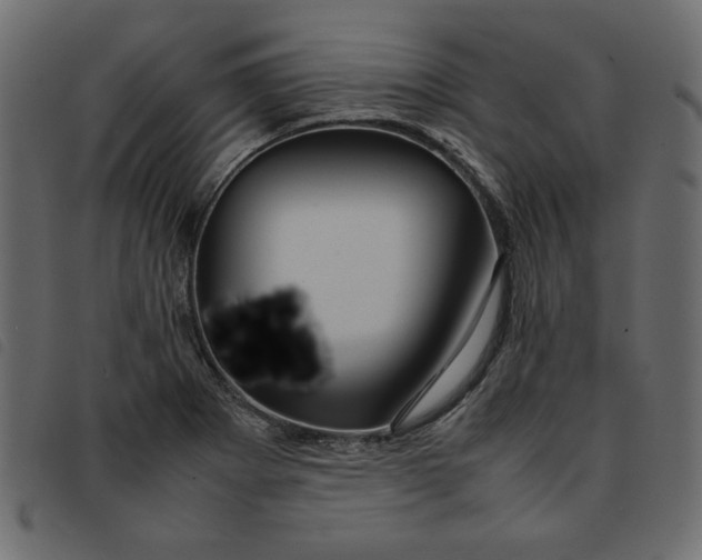 X0000092211273200710121121